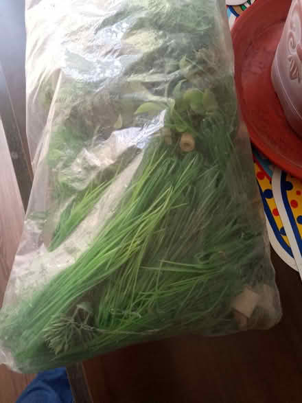 Photo of free bag of artificial plants (Waltham Abbey EN8) #1