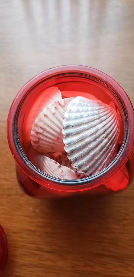 Photo of free Red jar with seashells (Kenson Park) #2