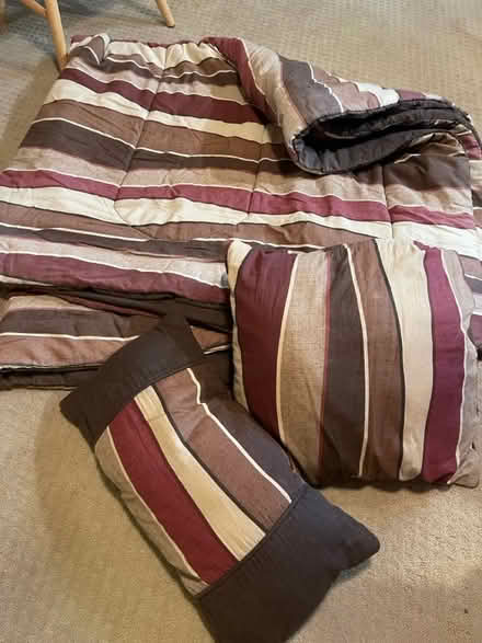 Photo of free King Comforter and shams (Ludlow ky) #1