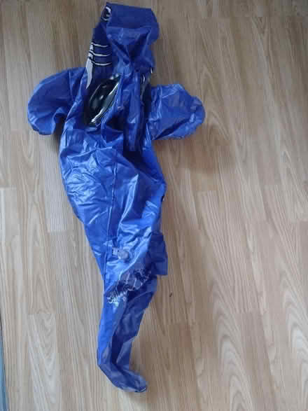 Photo of free Inflatable dolphin and shark pool Toys (Ashton-U-Lyne OL6) #2