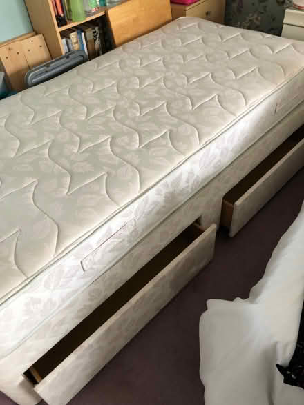 Photo of free Single bed (Wilstead MK45) #2