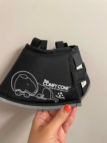 Photo of free Comfy Cone e-collar size XS (Kirkland) #3