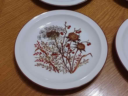 Photo of free Set of 12 dessert plates (Sunrise- near City Hall) #4