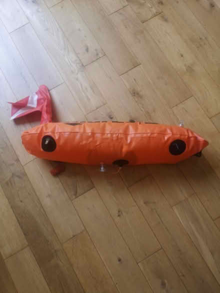 Photo of free Inflatable divers buoy (Streatham SW16) #2