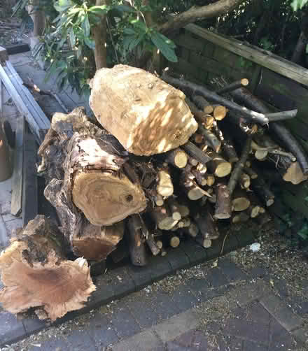 Photo of free Logs (Littleover - DE23) #1