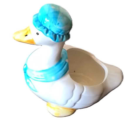 Photo of free China duck (Hoddesdon EN11) #1