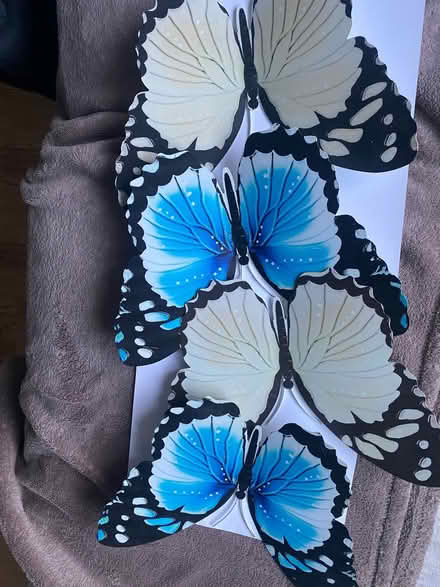 Photo of free Metal Butterfly’s (Easthampstead RG12) #1