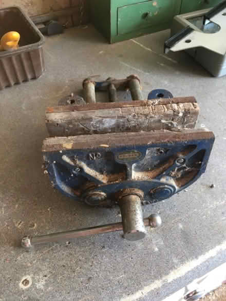 Photo of free Vice (Wokingham RG40) #1