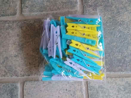 Photo of free Bag of plastic pegs (Guilsfield SY21) #1