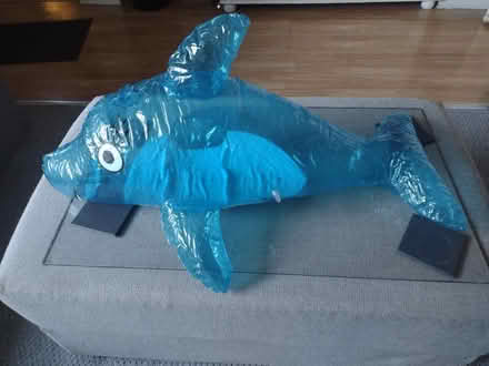 Photo of free Inflatable dolphin and shark pool Toys (Ashton-U-Lyne OL6) #1