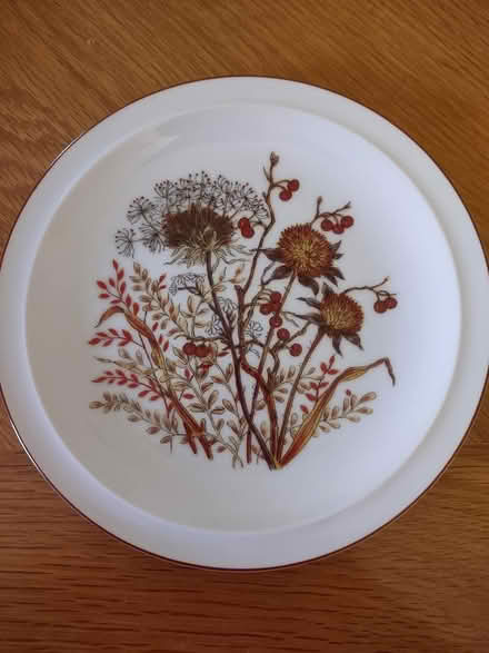 Photo of free Set of 12 dessert plates (Sunrise- near City Hall) #1