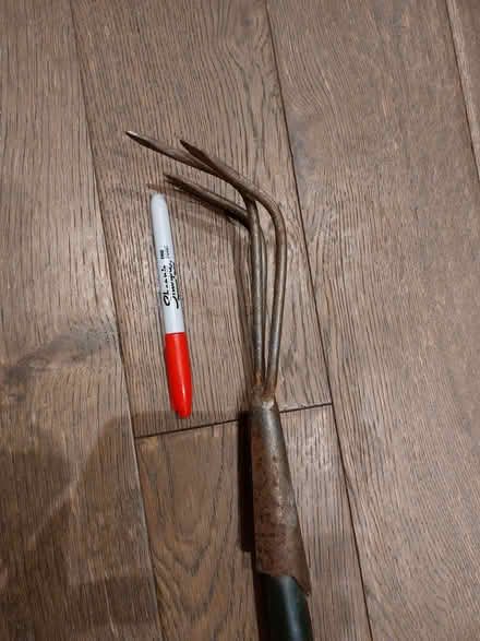 Photo of free Garden tools (New Malden KT3) #4
