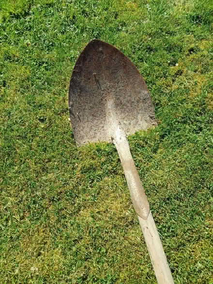 Photo of free Long-handled shovel (Earley RG6) #1