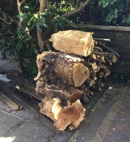 Photo of free Logs (Littleover - DE23) #2