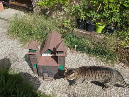 Photo of free Juba Cathedral (Packsaddle BA11) #2