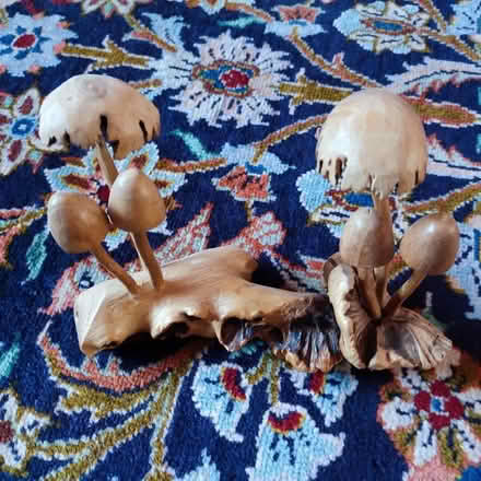 Photo of free Wood mushrooms, fairtrade 20 x 14 cm (Church RG2) #1
