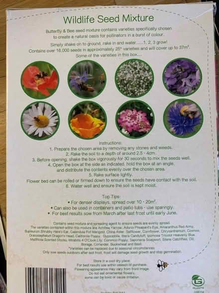 Photo of free Wildflower seeds (Purbrook PO7) #2
