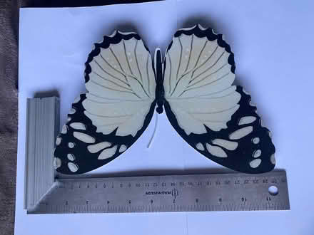 Photo of free Metal Butterfly’s (Easthampstead RG12) #4