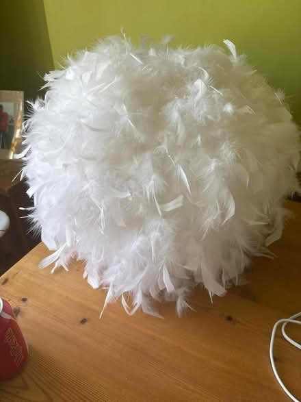 Photo of free Ceiling light (Horsham) #1