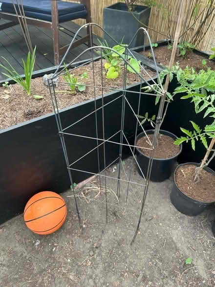 Photo of free 3 sided metal plant trellis/obelisk (Gorse Hill M16) #2