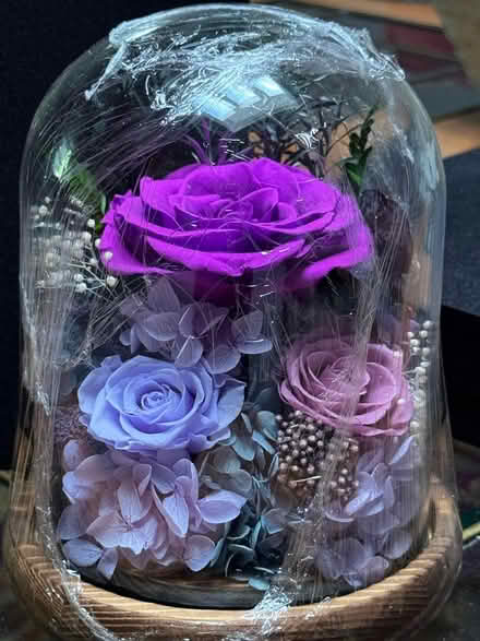 Photo of free Forever Natural Roses, Brand New (Fountain Vly, Heil & Bushard) #1