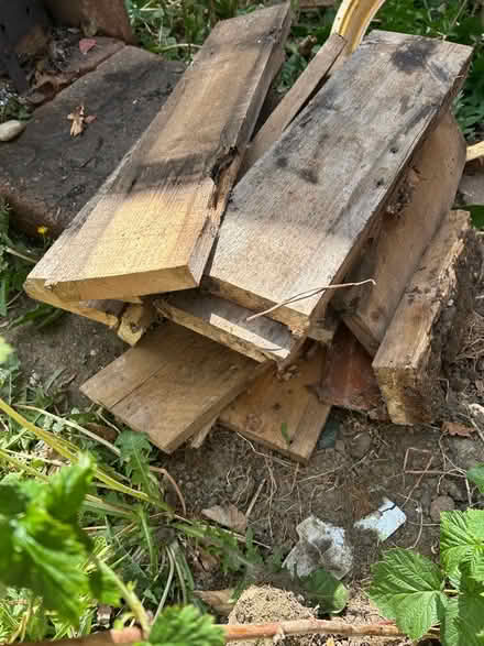 Photo of free Dry firewood (Heartsease NR7) #3