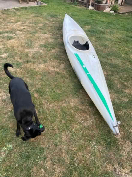 Photo of free Kayak (Boughton Monchelsea) #2