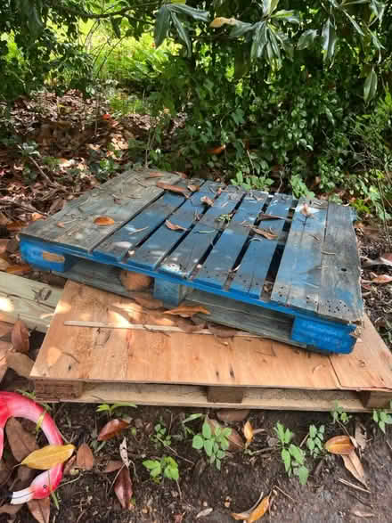 Photo of free Pallets (Roland park/Evergreen) #1