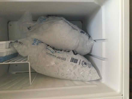Photo of free ICE (Near EHS) #1