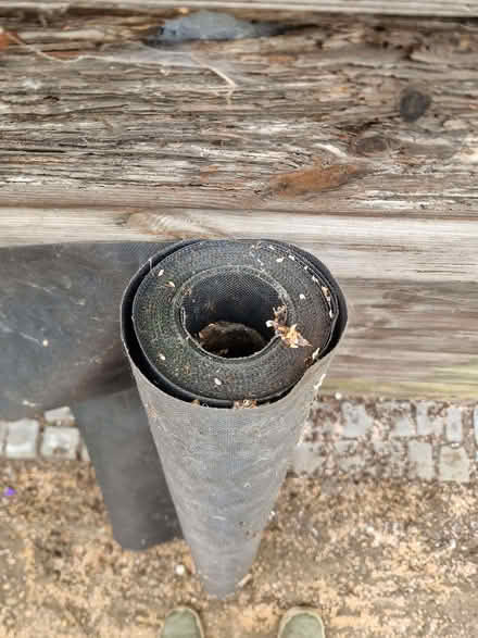 Photo of free Roofing membrane (Kingsley Park) #2