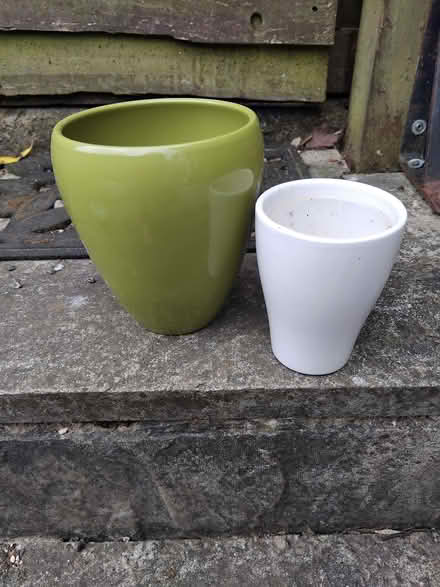 Photo of free Orchid pots (Starbeck HG1) #1