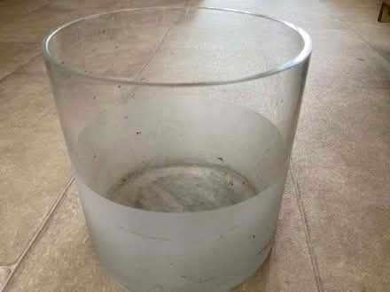 Photo of free Glass pot/vase (Pooley Green TW20) #1