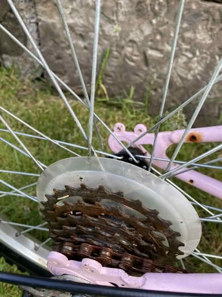 Photo of free Girls Bike 4- 8 (Hinchley Wood KT10) #2