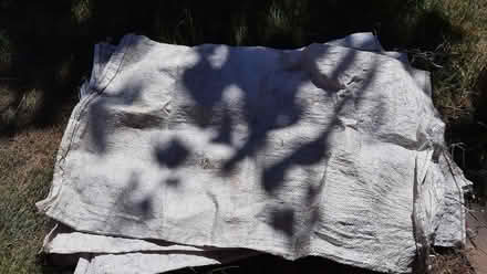 Photo of free Sturdy plastic bags (Abbey Wood SE2) #1