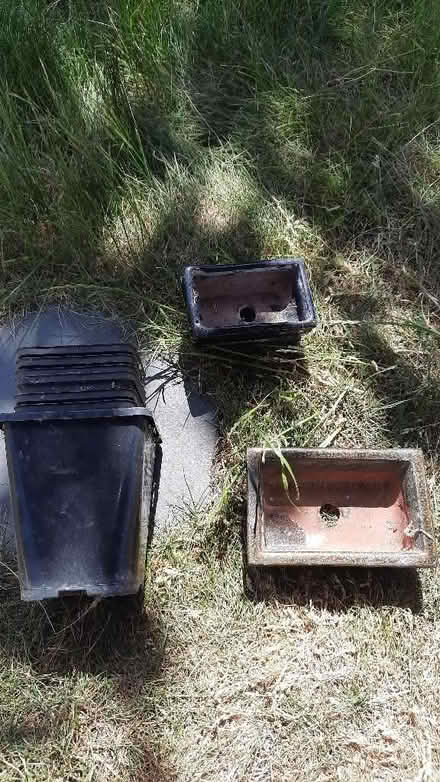 Photo of free Plant pots (Abbey Wood SE2) #1