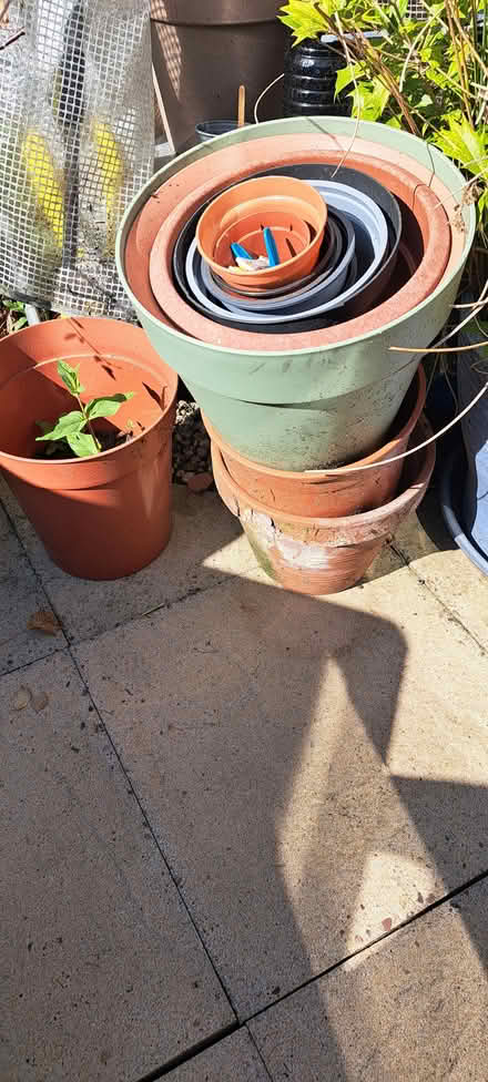 Photo of free Plant pots (Shirley B90) #1