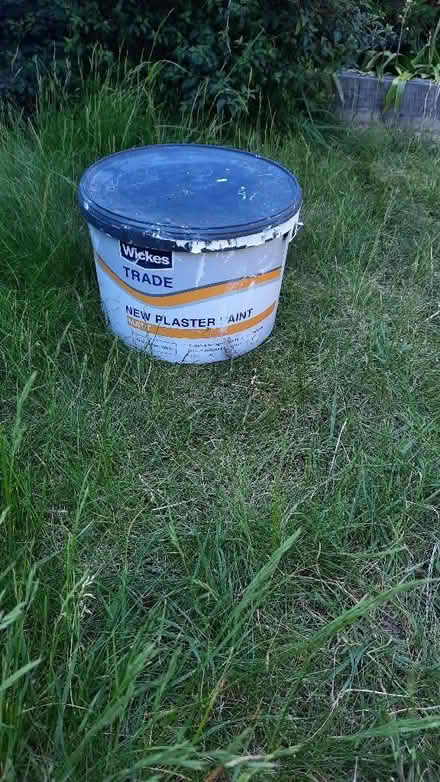 Photo of free New plaster paint half tub (Abbey Wood SE2) #1