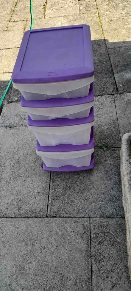 Photo of free Vegetable Rack (Dodford B61) #1