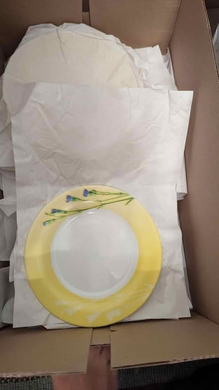 Photo of free Set of plates and pots (Thornhill) #2
