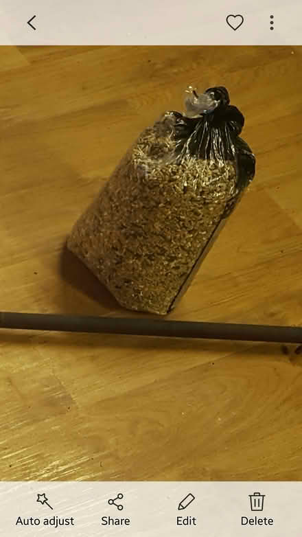 Photo of free Bird feeder + seed (Frimley Green GU16) #3