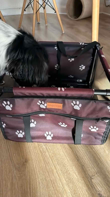 Photo of free Dog car seat basket (AL4) #3