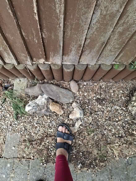 Photo of free Bricks, slabs, coping, flint, boulders, shingle etc (Watton at Stone SG14) #4