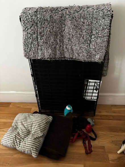 Photo of free Dog Crate & Dog Accessories (Bloomsbury -WC1N) #1