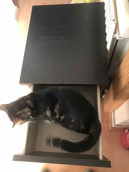 Photo of free Ikea MALM bedside Table (N19 Archway) #3