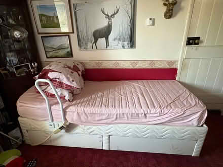 Photo of free Single electric reclining divan bed (Newton St Loe CP) #4