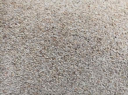 Photo of free 2 good size carpet offcuts pure wool new (Rochford SS4) #2