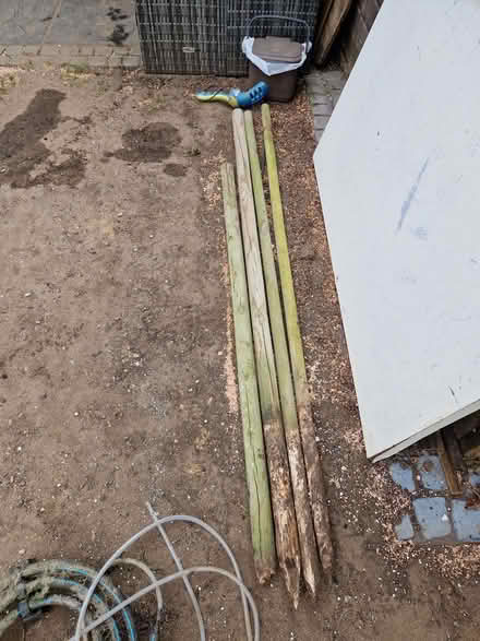 Photo of free Wooden stakes (Kingsley Park) #1
