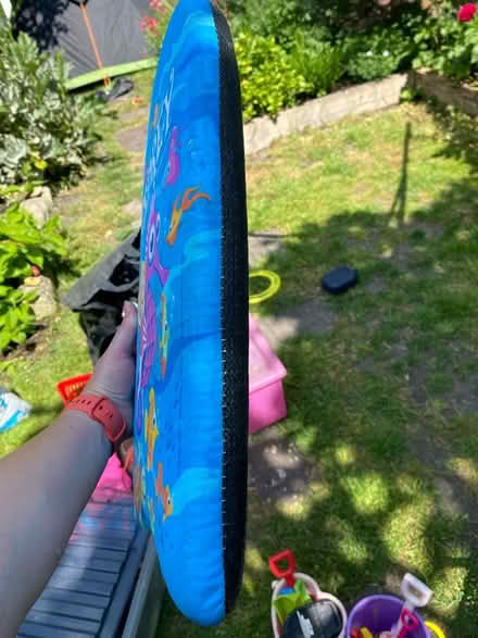 Photo of free Small float (East Twerton) #2