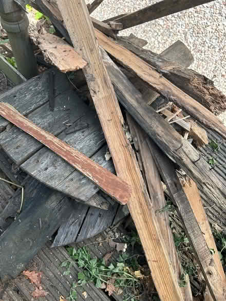 Photo of free Dry firewood (Heartsease NR7) #2