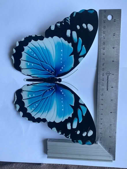 Photo of free Metal Butterfly’s (Easthampstead RG12) #2